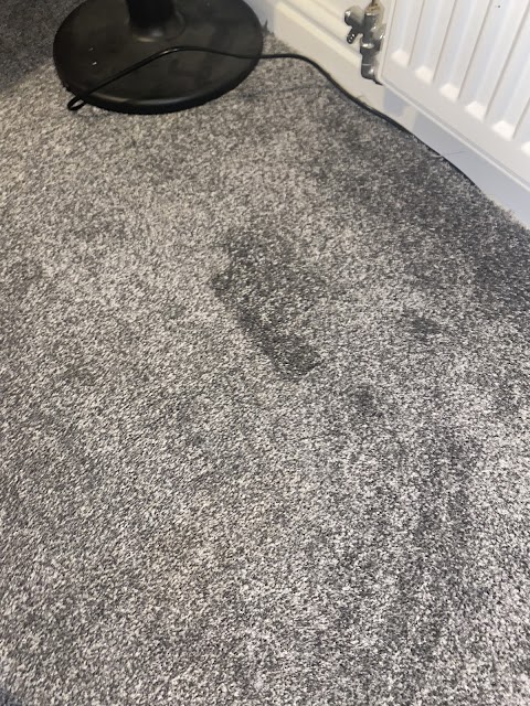 Carpet Repair Services