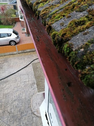 Gutter empty / clean, Chester, Shotton, Flintshire, Hawarden, mold