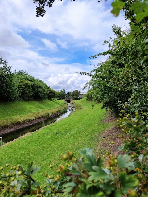 King's Meadow Nature Reserve