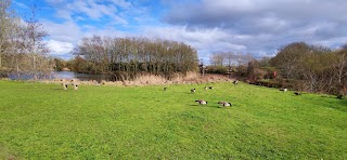 Upper Lake, Perton