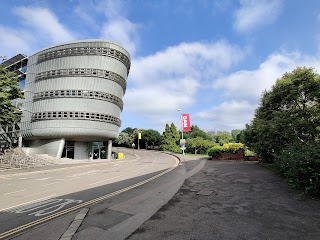 University Of Surrey