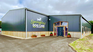 Springfield Dog Care