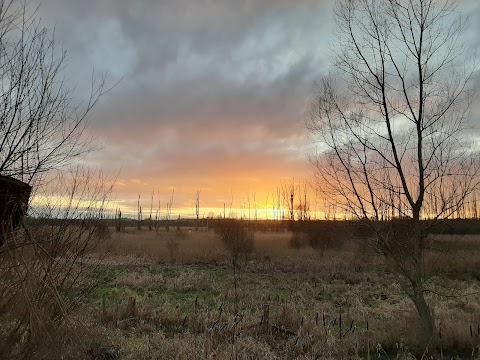 Fishlake Meadows Nature Reserve