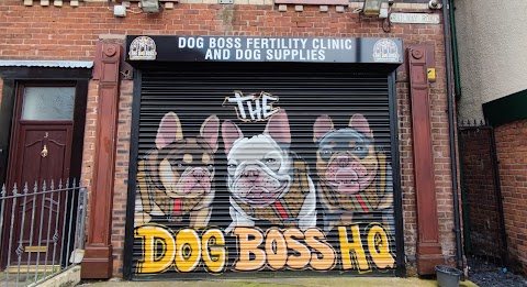 The Dog Boss HQ