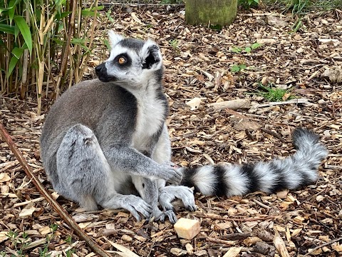 Northumberland College Zoo