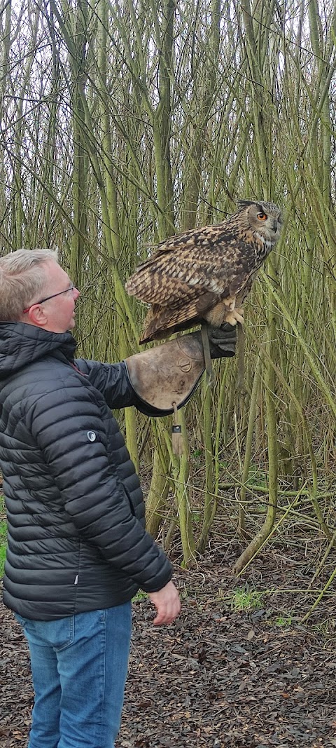 Bird on the Hand Falconry Experiences