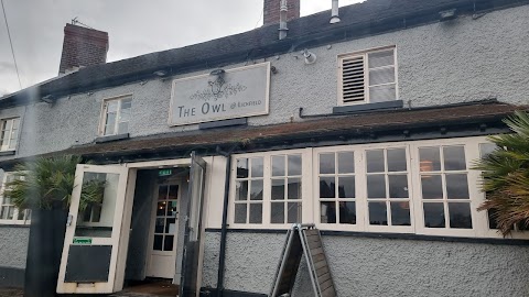 The Owl at Lichfield