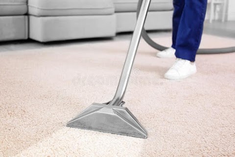 Professional carpet steam clean