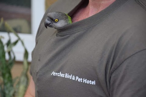 Perches bird and pet hotel