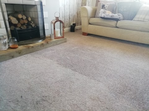 Cura Cleaning - Oven & Carpet