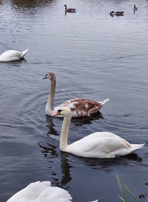 Colne Valley Regional Park