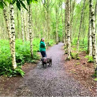 Chetwynd Firs Boarding Kennels & Cattery