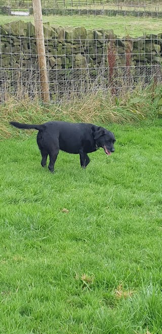 Wharfedale Kennels and Cattery