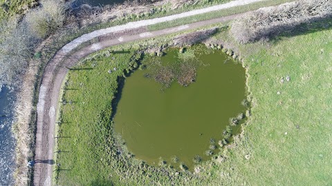 RSPB Surlingham Church Marsh