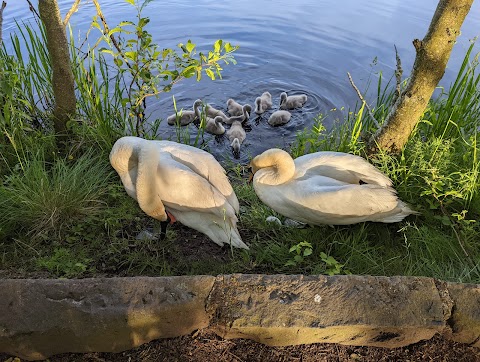 Seven Lochs Wetland Park