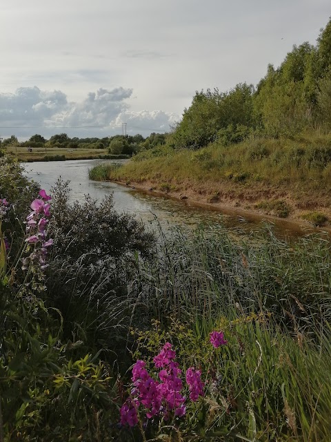 Cleethorpes Country Park