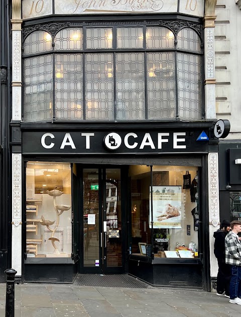 Cat Cafe Liverpool