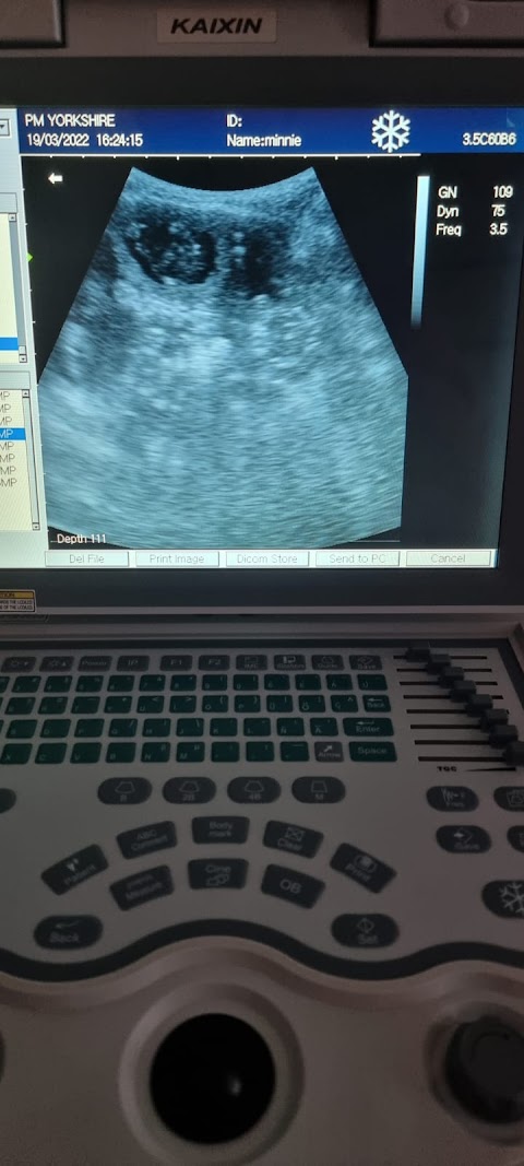 Pet Microchipping & Ultrasound Scan Yorkshire