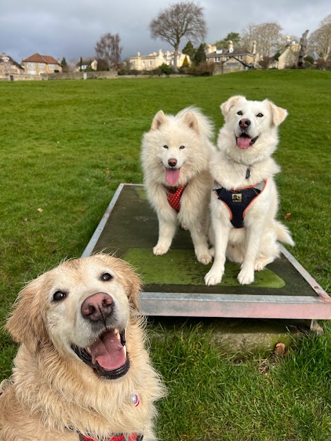 Pawsitively Happy Dogs