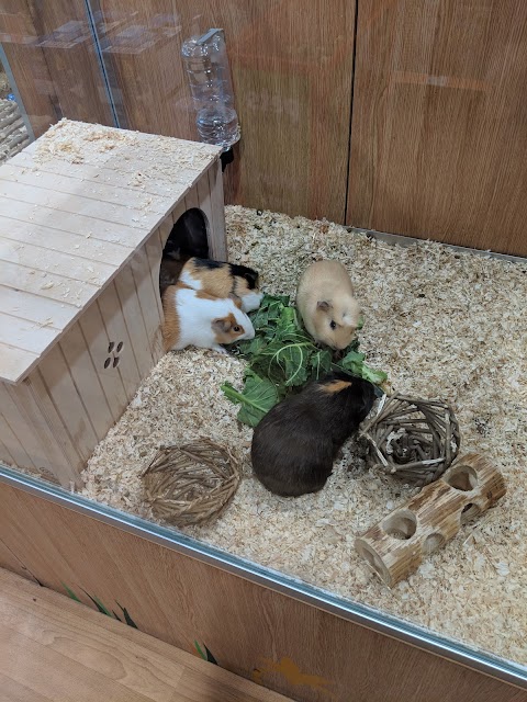 Pets at Home Barry