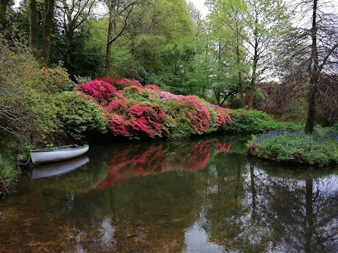 Lukesland Gardens and Tea Room