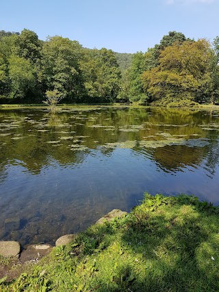 Craig-y-Nos Country Park