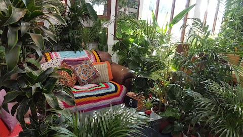 The Cafe at Urban Jungle Suffolk