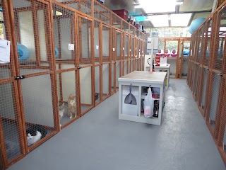 Kingfisher Pet Boarding, Cattery and Small Animals