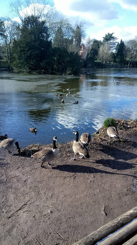 Moseley Park and Pool