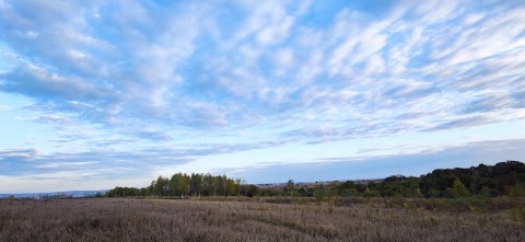 Садове товариство "Пролісок"