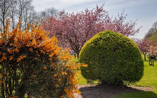 Spring Gardens Play Area