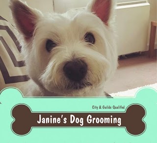 Janine's Dog Grooming