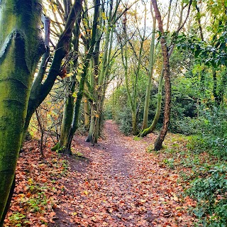 Burton Woods