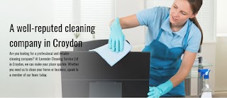 Lavender Cleaning Service Ltd