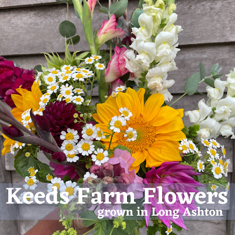 Keeds Farm Flowers