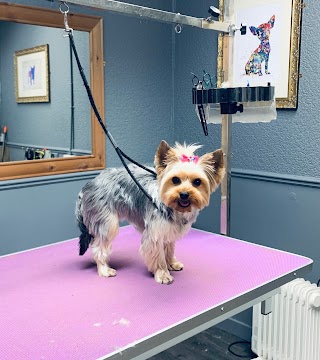 Fur-nomenal Dog Grooming