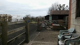 Lings Lane Riding Stables