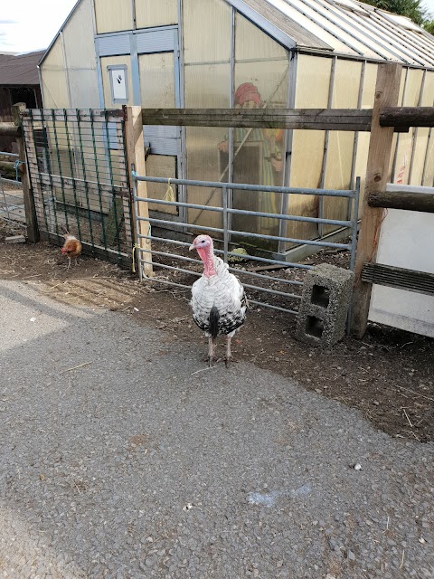 Pimhole Community Farm