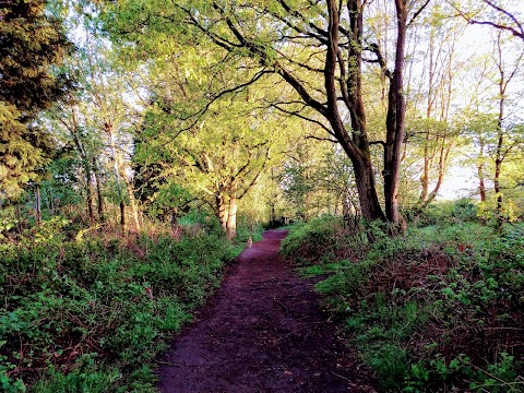 Hartlebury Common