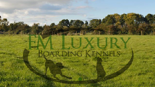FM Luxury Boarding Kennels