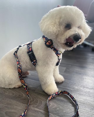 Luxury Paws Grooming & Boutique