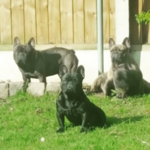 Heartland at Shardlow Boarding Kennels & Cattery