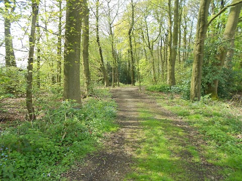 Priory Hospital Arnold