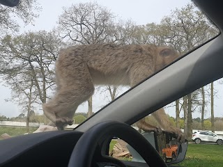 Woburn Safari park