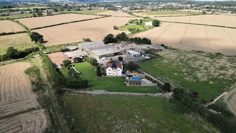 Glebe Von Wood Dog Kennels