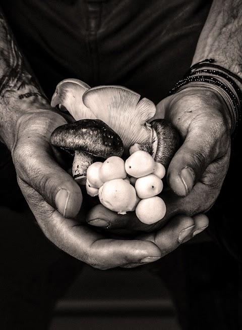 Wimbledon Food Photography Workshops