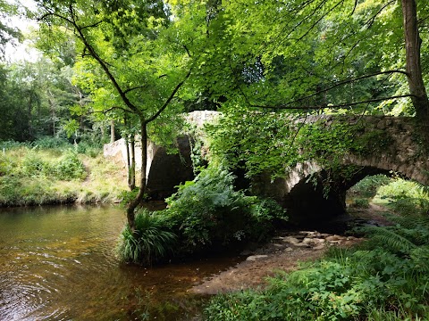 Mourne Park, Woodland Trust