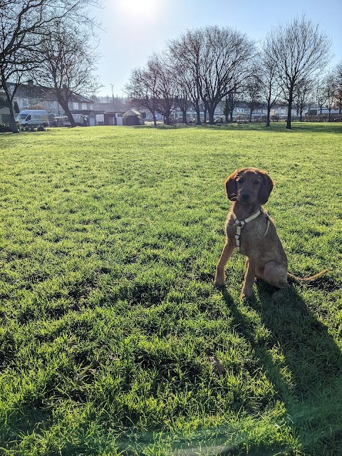 Oof Woof Walkies - Walking and pet services - Bristol