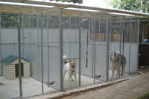 Treetops Kennels and Cattery