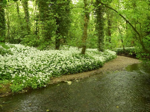 RSPB Middleton Lakes